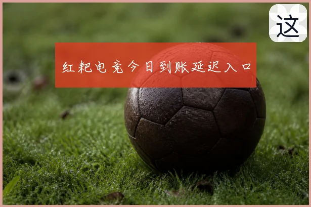红耙电竞今日到账延迟入口